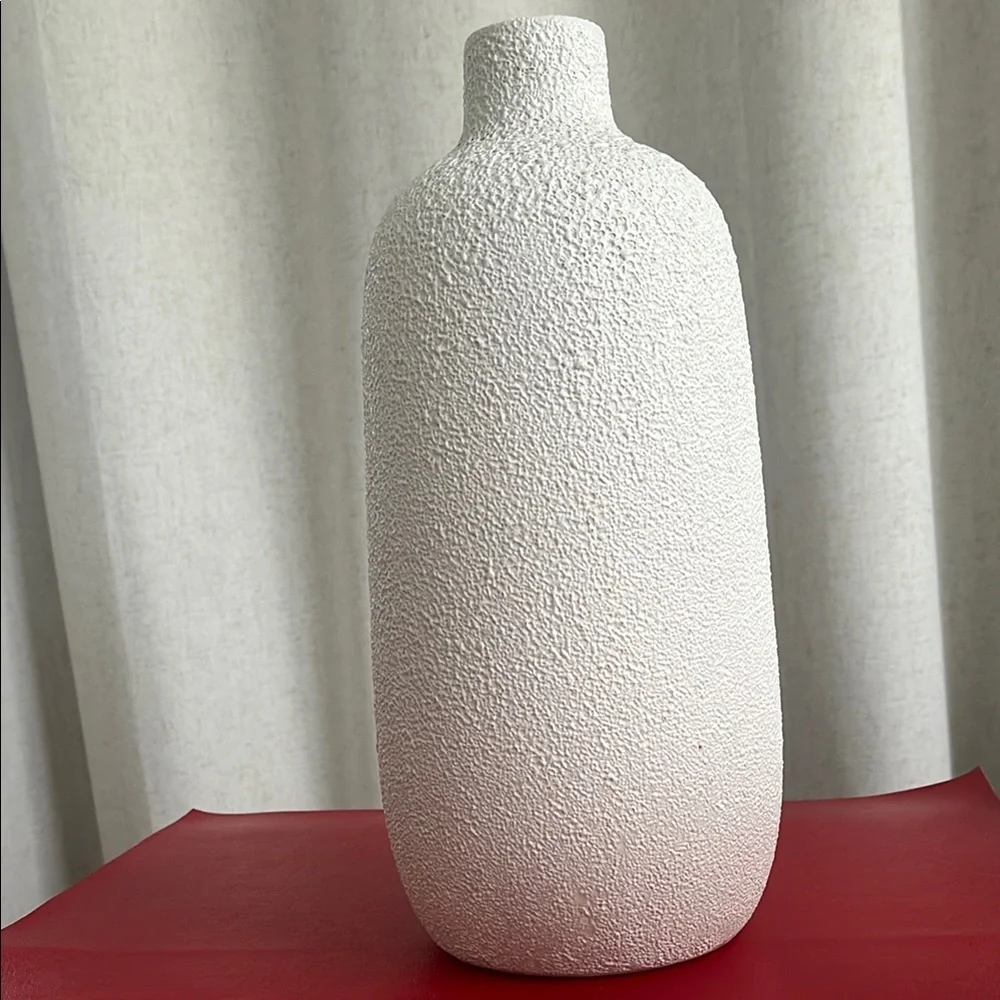 CB2 Callisto Textured White Vase 12”h